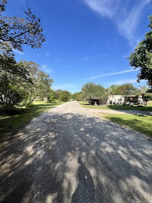 Spring Branch Mobile Home Community Picture 4