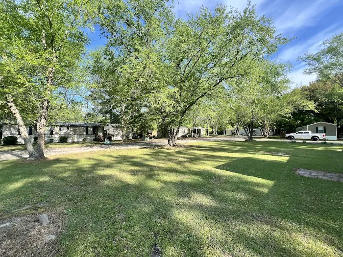 Spring Branch Mobile Home Community Picture 3