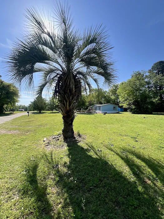 Spring Branch Mobile Home Community Picture 6