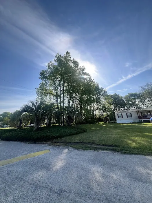 Spring Branch Mobile Home Community Picture 1