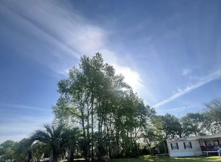 Spring Branch Mobile Home Community