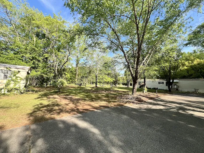 Spring Branch Mobile Home Community Picture 9
