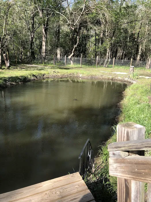 Second Loop Mobile Park LLC Picture 7