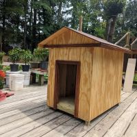 Treehouse [树屋家] ico