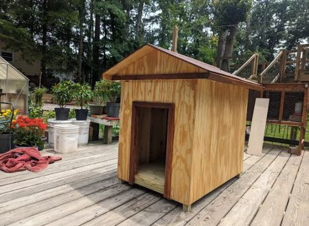 Treehouse [树屋家]