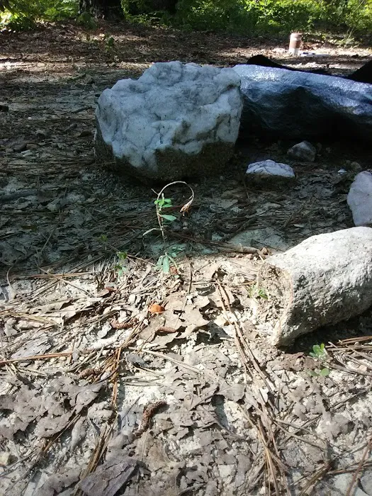 East Morris Mountain Campground Picture 7