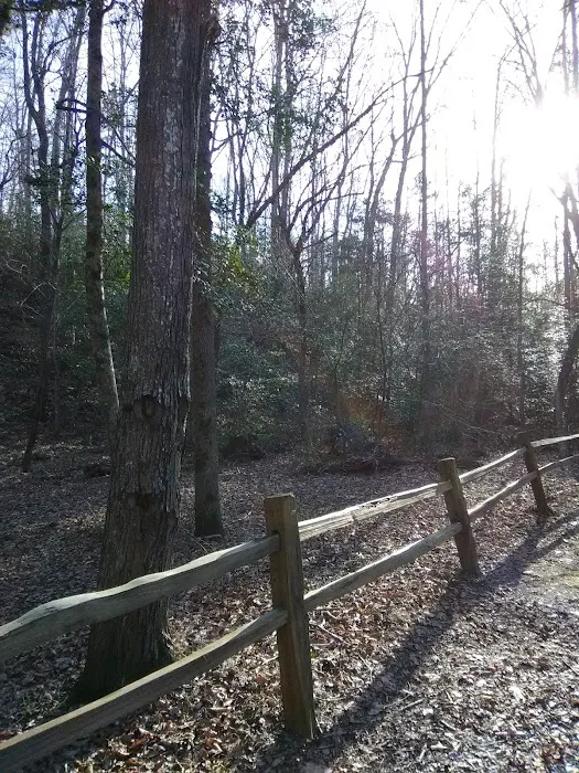 East Morris Mountain Campground Picture 10