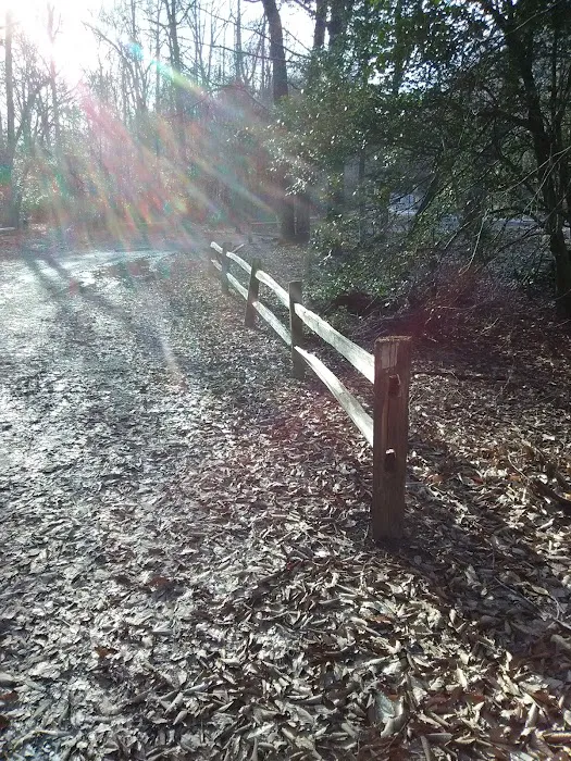 East Morris Mountain Campground Picture 9
