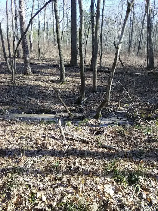 East Morris Mountain Campground Picture 4