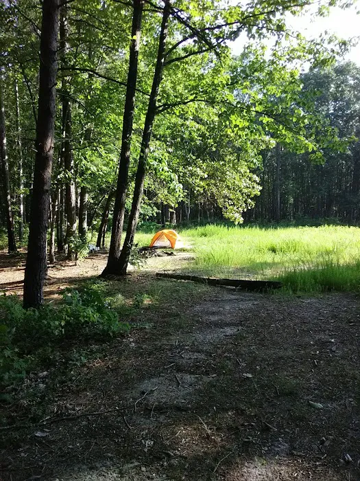 East Morris Mountain Campground Picture 3