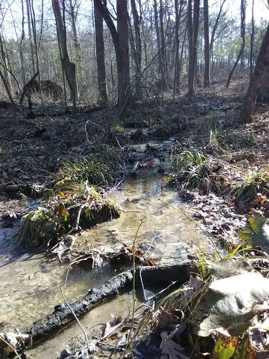 East Morris Mountain Campground Picture 5