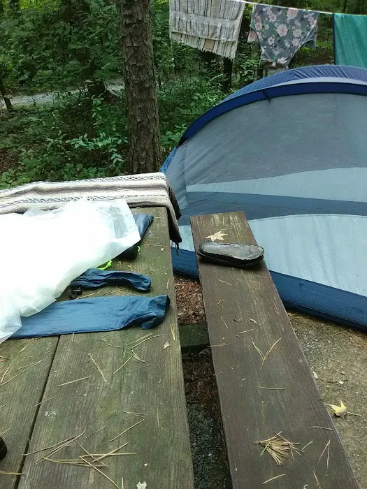 West Morris Mountain Campground Picture 3