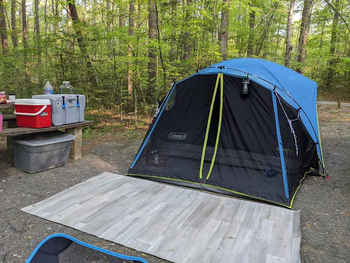 West Morris Mountain Campground Picture 2