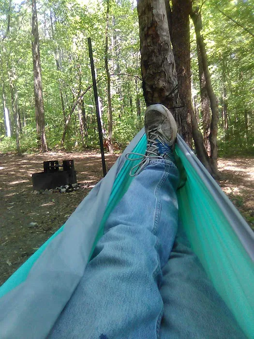 West Morris Mountain Campground Picture 9
