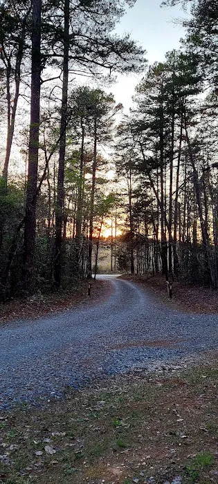 West Morris Mountain Campground Picture 5