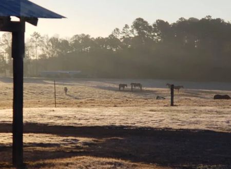 4B Farm & Campground