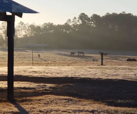 4B Farm & Campground