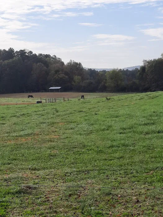 4B Farm & Campground Picture 4