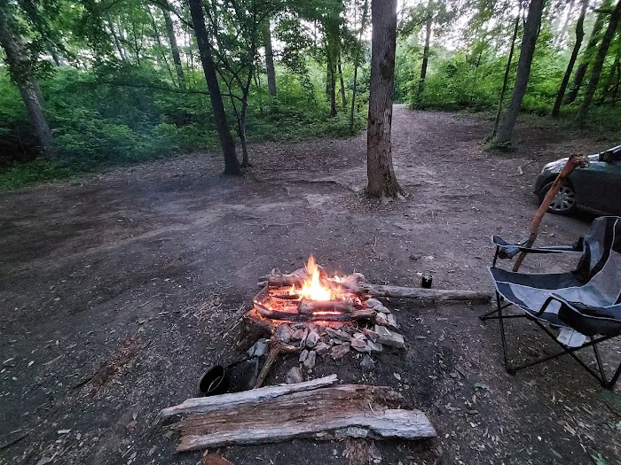 Uwharrie National Forest Hunt Camp Campgrounds Picture 3