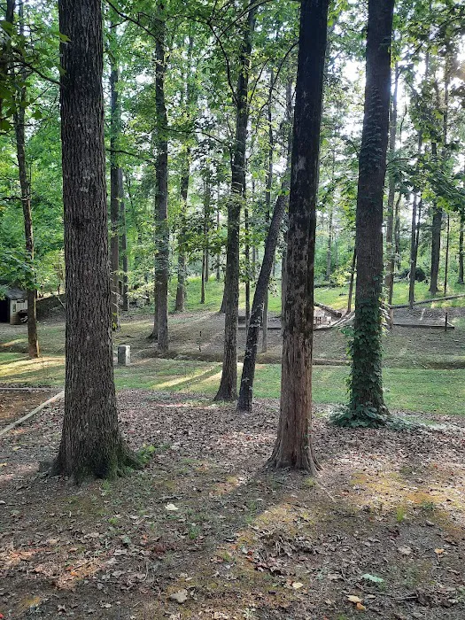 Uwharrie National Forest Hunt Camp Campgrounds Picture 10