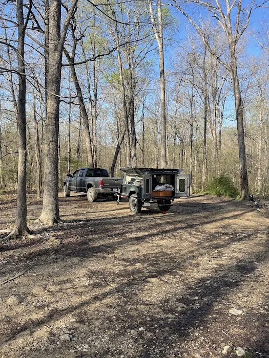 Uwharrie National Forest Hunt Camp Campgrounds Picture 1