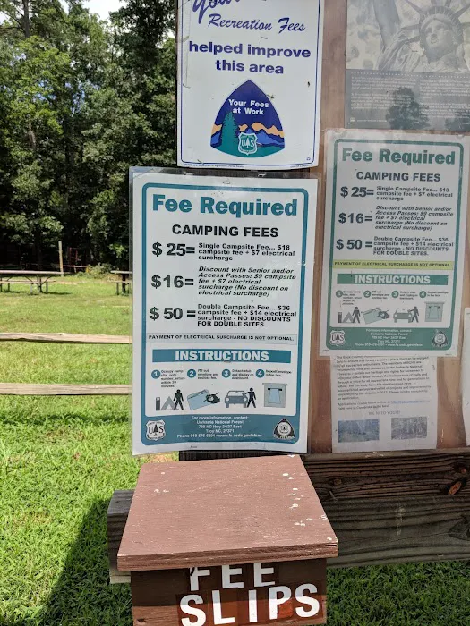 Canebrake Horse Camp Picture 4