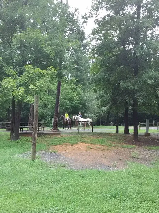 Canebrake Horse Camp Picture 9