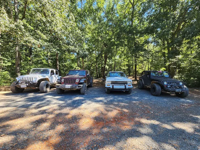 Badin Lake Group Campground Picture 10