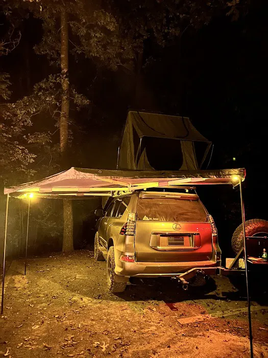 Badin Lake Group Campground Picture 4