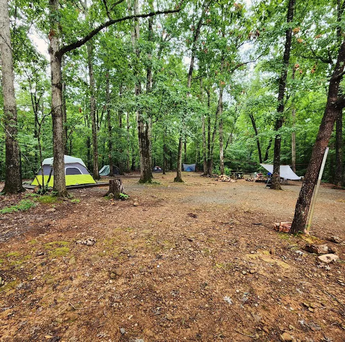 Badin Lake Group Campground Picture 7