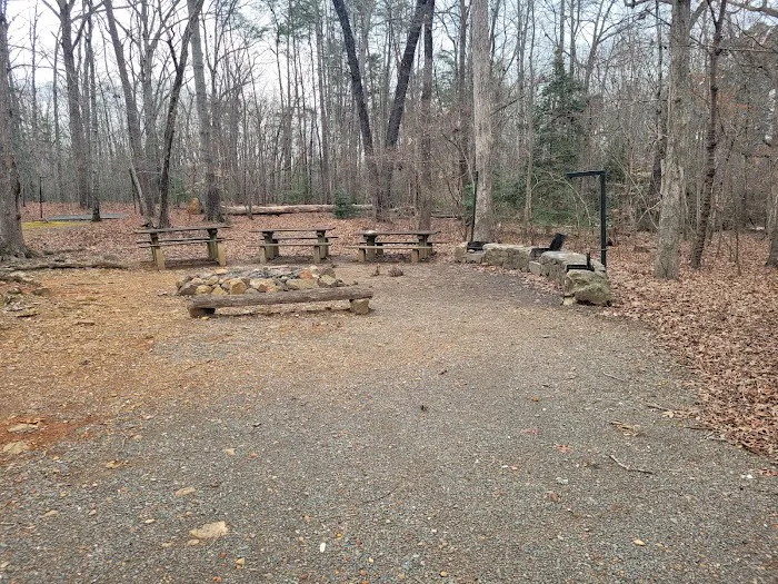 Badin Lake Group Campground Picture 9