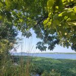KINGS MOUNTAIN POINT PICNIC PAVILION (NC) (recgovnpsdata)