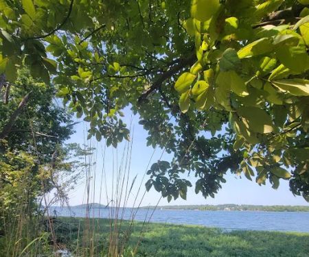 KINGS MOUNTAIN POINT PICNIC PAVILION (NC) (recgovnpsdata)