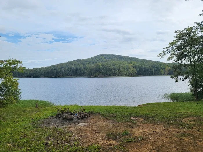 Badin Lake Campground Upper Loop Picture 8