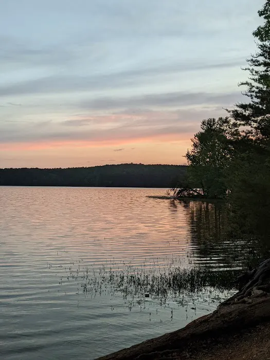 Badin Lake Campground Upper Loop Picture 2