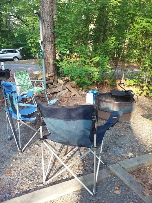 Badin Lake Campground Upper Loop Picture 1