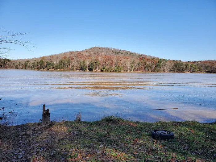 Badin Lake Campground Picture 4