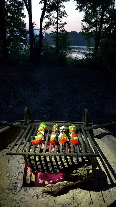 Badin Lake Campground Picture 1