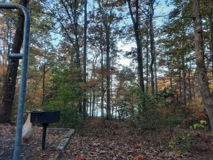 Badin Lake Campground Picture 5