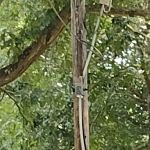 Woods Mobile Home Park