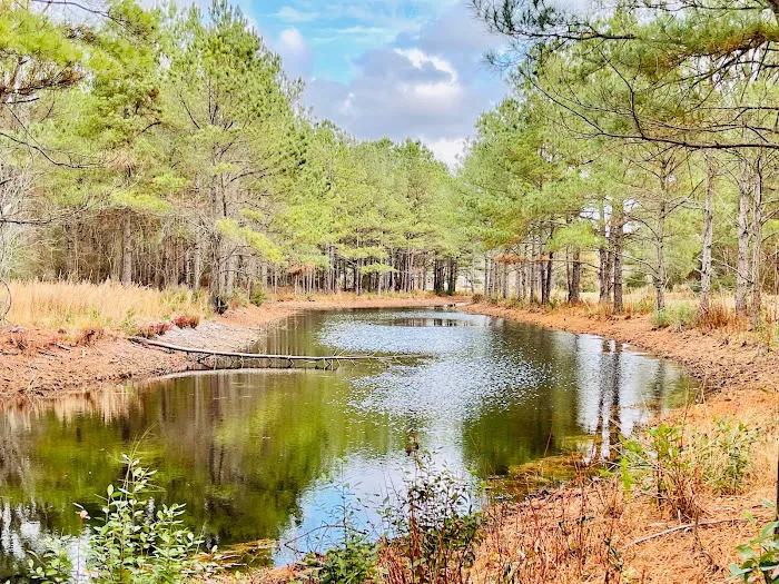 Sandy Ridge Campground & RV Resort Picture 6