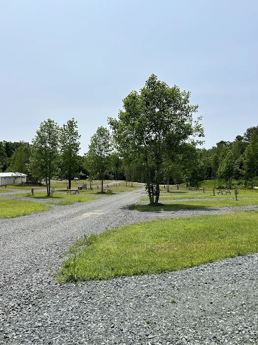 Yadkin Valley RV Resort Picture 4