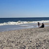 Carolina Beach State park Campground ico