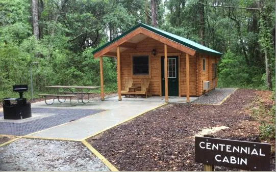 Carolina Beach State park Campground Picture 10