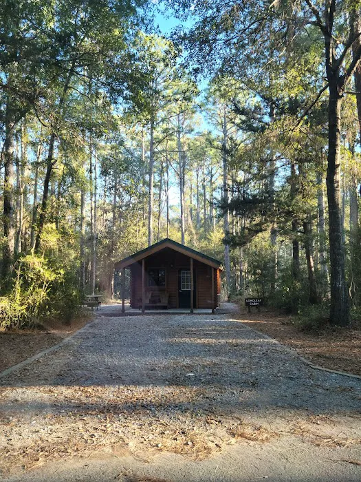 Carolina Beach State park Campground Picture 2