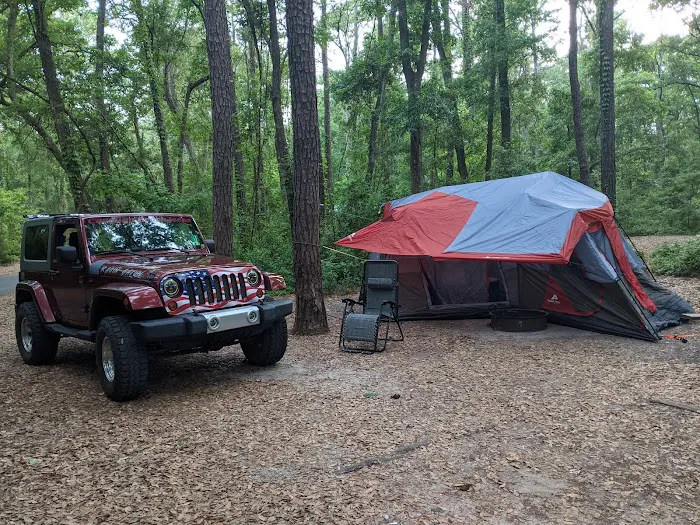 Carolina Beach State park Campground Picture 8