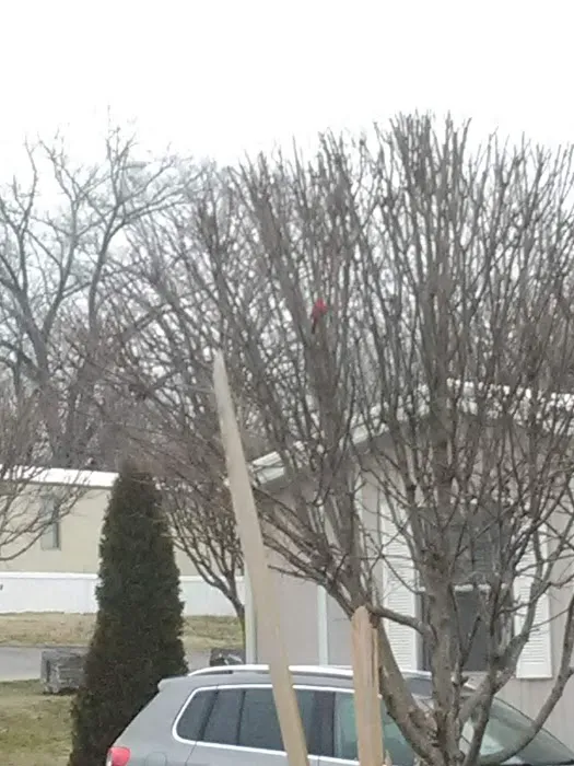 J&R Mobile Home Park Picture 10