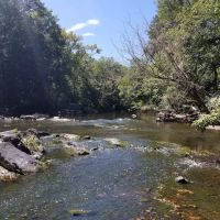 Deep River Haven LLC ico