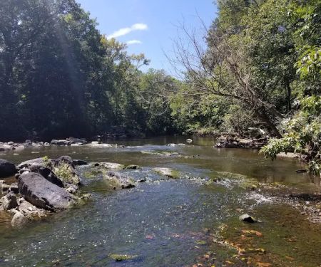 Deep River Haven LLC