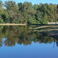 Cedar Creek Mobile Home Park LLC ico